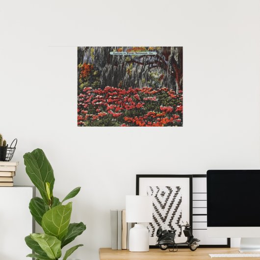 Poster Azaleas en fleur à Savannah GA Cartes postales (Bureau à domicile)