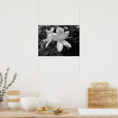 Poster Azaleas / Rhododendrons en B&W (Cuisine)