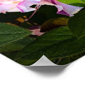 Poster Azalée, (Coin)