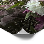 Poster Azalée, (Coin)