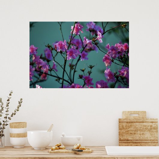 Poster Azalée rose et signification (Cuisine)