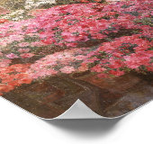 Poster Azalées de serre | Marie Antoinette Marcotte (Coin)