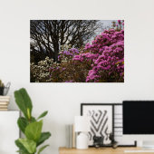 Poster Azalia et Magnolia (Bureau à domicile)