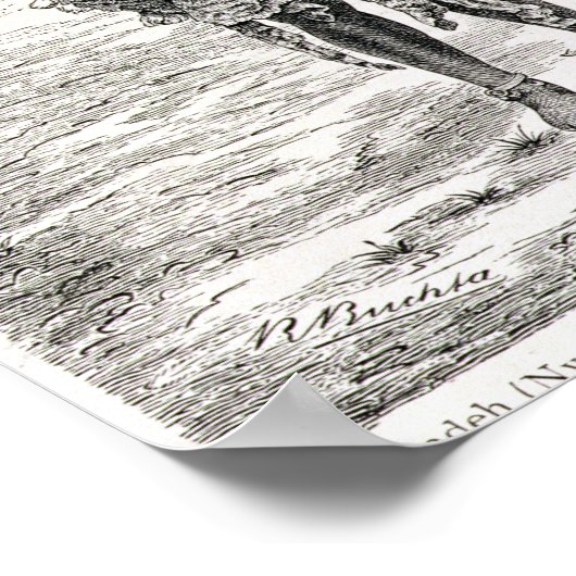 Poster Azandeh Binsa ou sorcier (Coin)