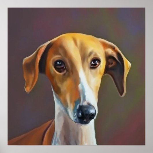 Poster Azawakh - Portrait de chien (Devant)
