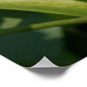 Poster Aztec Pearl (Coin)