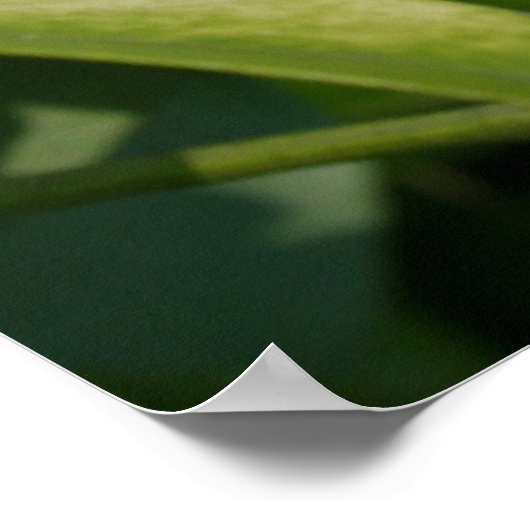 Poster Aztec Pearl (Coin)