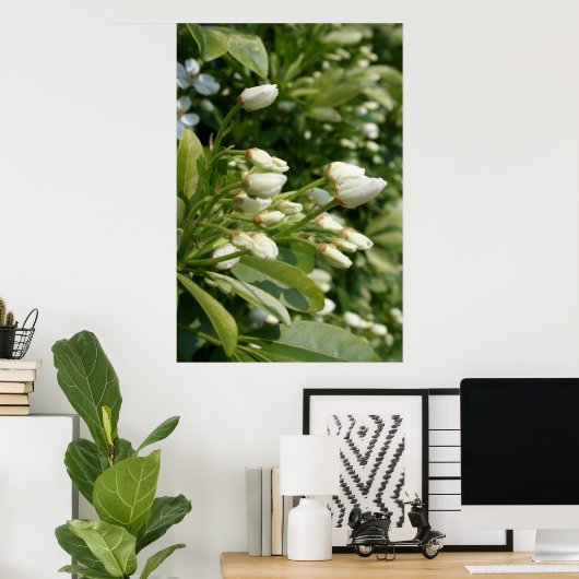 Poster Aztec Pearl (Bureau à domicile)