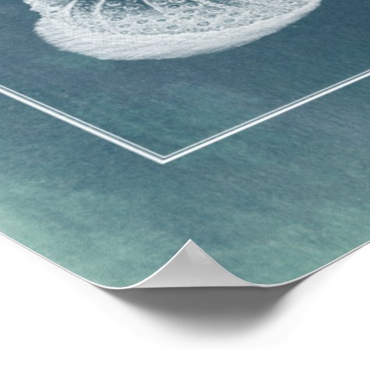 Poster Azure Seahorse Study I (Coin)