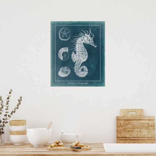 Poster Azure Seahorse Study I (Cuisine)