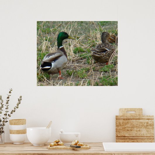 Poster B12 Mallard Ducks Pair (Cuisine)