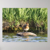 Poster B18 Écran inférieur (Devant)