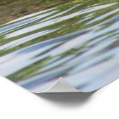 Poster B18 Petit Fuligule (Coin)