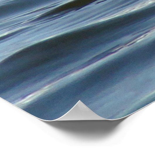 Poster B1 Grèbe comestible (Coin)