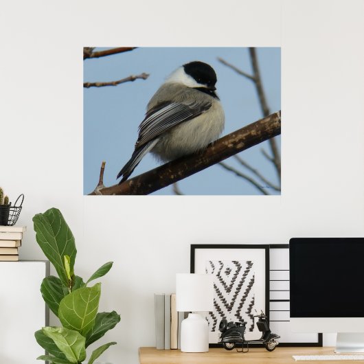 Poster B21 Chickadee noir à capuchon (Bureau à domicile)