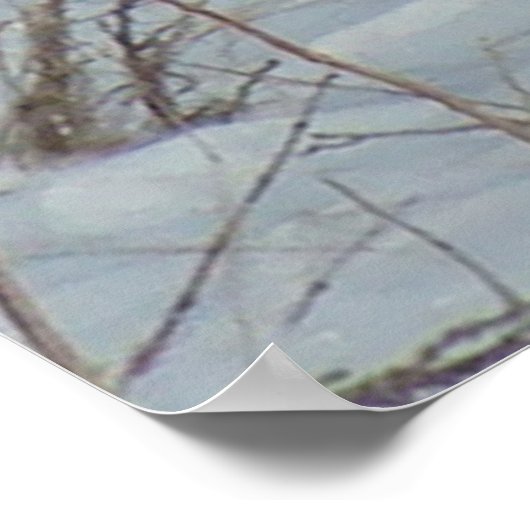 Poster B23 Pheasant à anneaux (Coin)