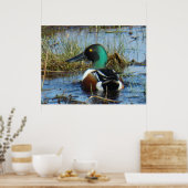 Poster B25 Drake (Cuisine)