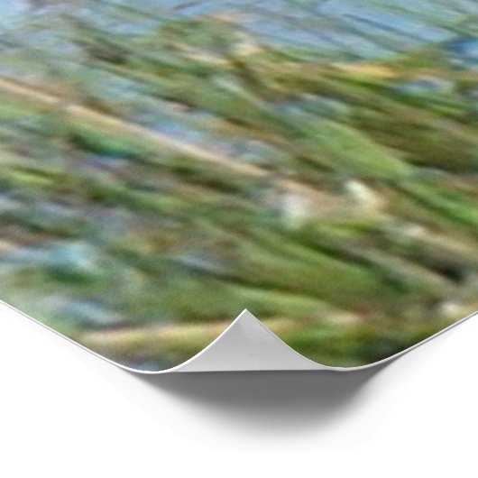 Poster B26 Drake (Coin)