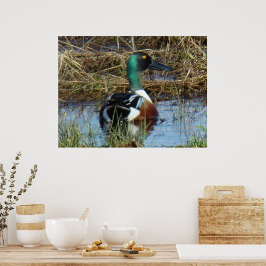 Poster B26 Drake (Cuisine)