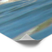 Poster B40 Grèbe jougris juvénile (Coin)