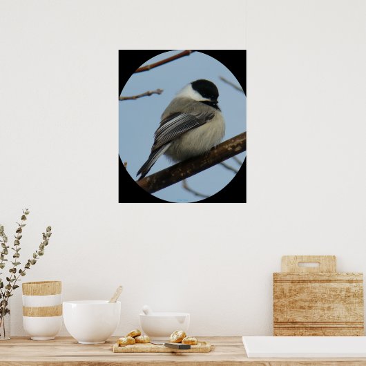 Poster B43 Chickadee noir à capuchon (Cuisine)