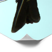 Poster B45 Kingbird occidental (Coin)