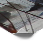 Poster B49 Bernaches du Canada sur une rivière gelée (Coin)