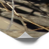 Poster B51 Chouette à cornes (Coin)