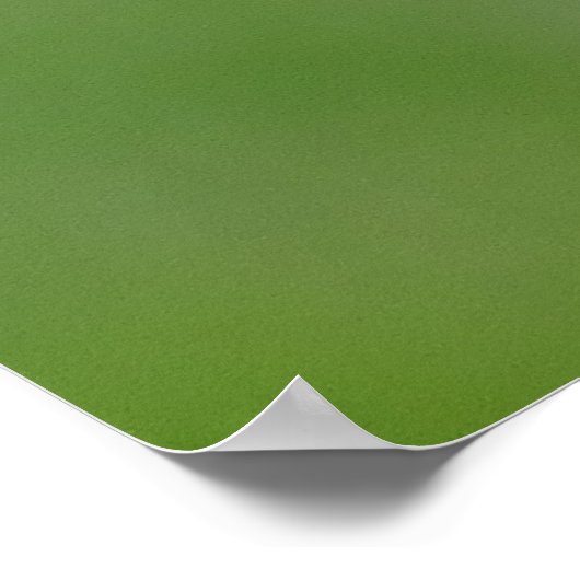 Poster B56 Chouette bractée (Coin)