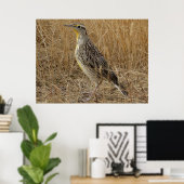 Poster B57 Sturnelle de l'Ouest (Bureau à domicile)
