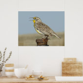 Poster B6 Ouest Meadowlark (Cuisine)