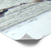 Poster B7 Oies canadiennes en vol (Coin)