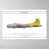 POSTER B-17G USA 835BS 1 (Devant)
