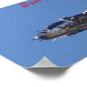 Poster B-25 Super Rabbit  (Coin)