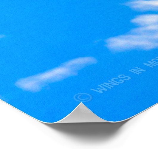 POSTER B-2 SPIRIT (Coin)