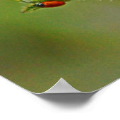 Poster B-Fly et Ladybugs (Coin)