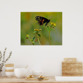 Poster B-Fly et Ladybugs (Cuisine)