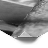 Poster B&W - Ant tisserand sur un bois (Coin)