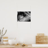 Poster B&W - Ant tisserand sur un bois (Cuisine)