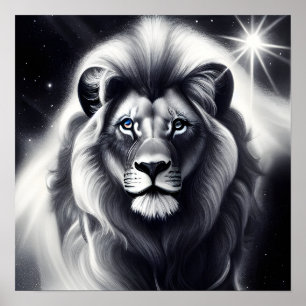 Poster B&W Blue Eyed Lion