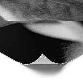 Poster B & W Morning Glory Print (Coin)