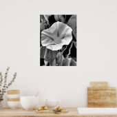 Poster B & W Morning Glory Print (Cuisine)