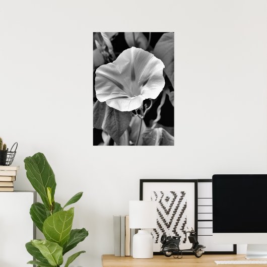 Poster B & W Morning Glory Print (Bureau à domicile)