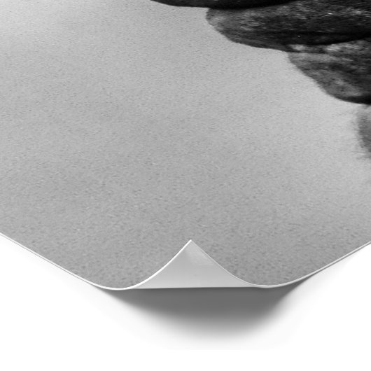 Poster B&W Rhino (Coin)