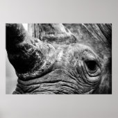 Poster B&W Rhino (Devant)