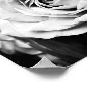 Poster B&W Rose Sharpened (Coin)