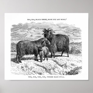Poster Baa, Baa, Rhyme de pépinière de moutons noirs