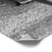 Poster Babe se fait lier, 1924 (Coin)