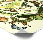 Poster Babfly vintage (Coin)