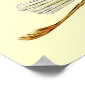 Poster BABILLAGE FILLE STORK ,crème (Coin)